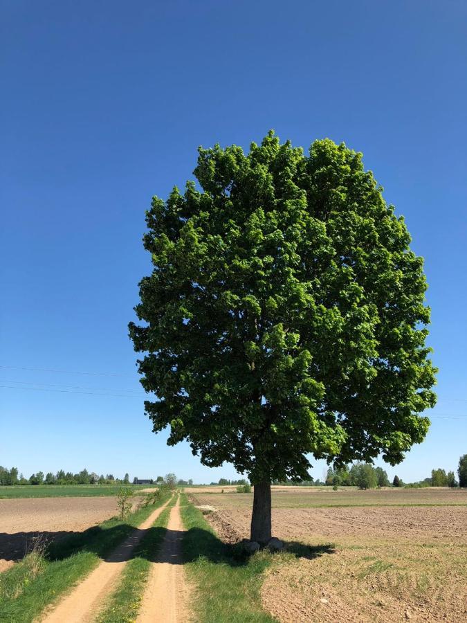 Zagroda U Leny - Dom Na Wylacznosc Czyze Exterior foto