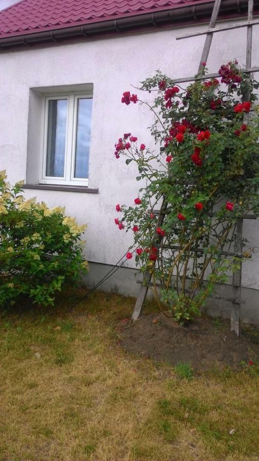 Zagroda U Leny - Dom Na Wylacznosc Czyze Exterior foto